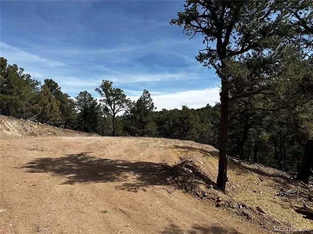 2065 Indian Wells Road Cotopaxi, CO 81223