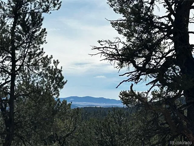 2065 Indian Wells Road Cotopaxi, CO 81223