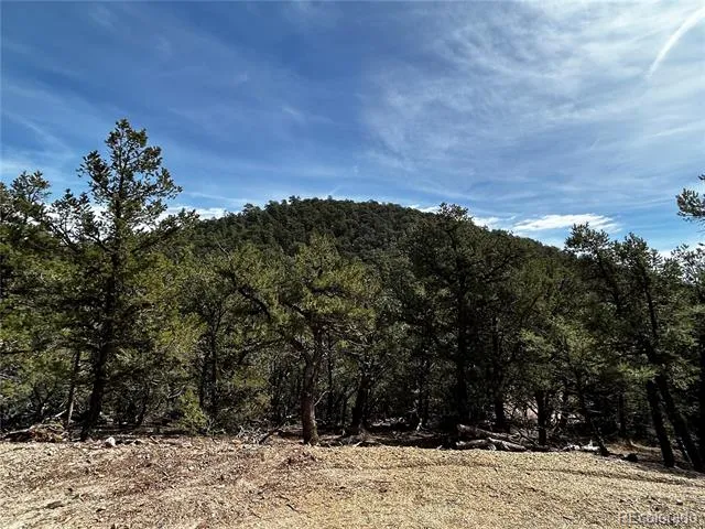 2065 Indian Wells Road Cotopaxi, CO 81223