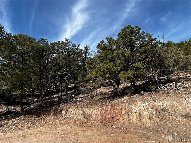 2065 Indian Wells Road Cotopaxi, CO 81223