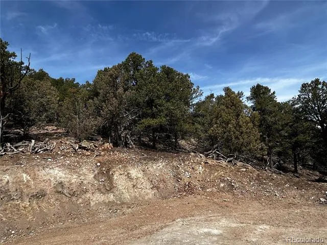 2065 Indian Wells Road Cotopaxi, CO 81223