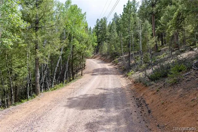 12397 S Cindy Avenue Pine, CO 80470