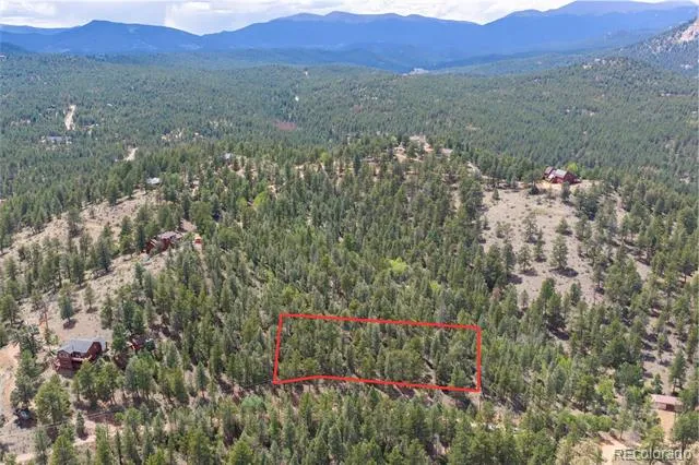 12397 S Cindy Avenue Pine, CO 80470