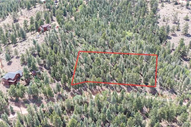 12397 S Cindy Avenue Pine, CO 80470