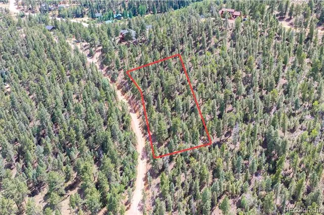 12397 S Cindy Avenue Pine, CO 80470