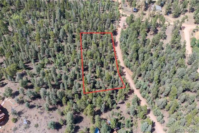 12397 S Cindy Avenue Pine, CO 80470