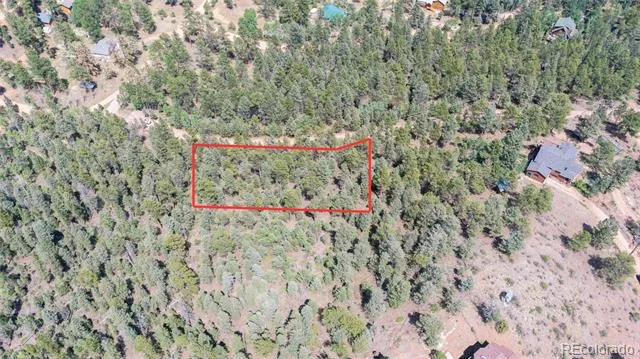 12397 S Cindy Avenue Pine, CO 80470