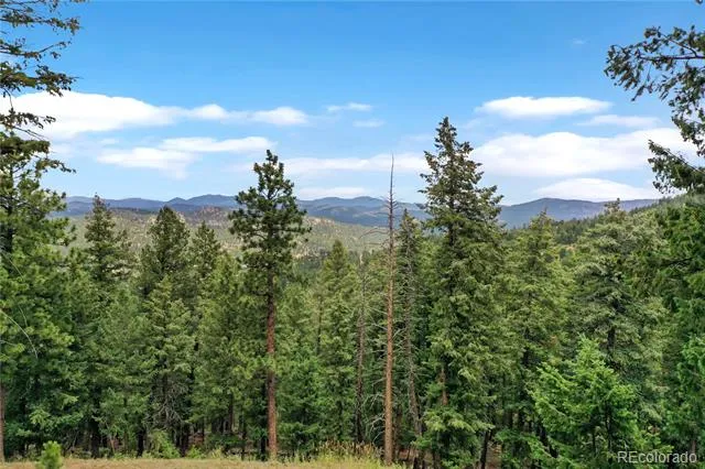 26367 Bell Park Drive Evergreen, CO 80439