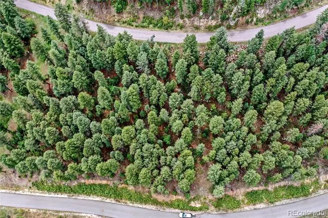 26367 Bell Park Drive Evergreen, CO 80439