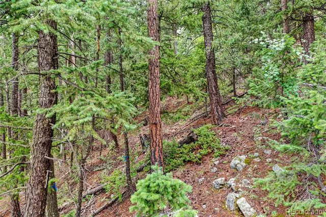 26367 Bell Park Drive Evergreen, CO 80439