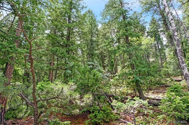 26367 Bell Park Drive Evergreen, CO 80439