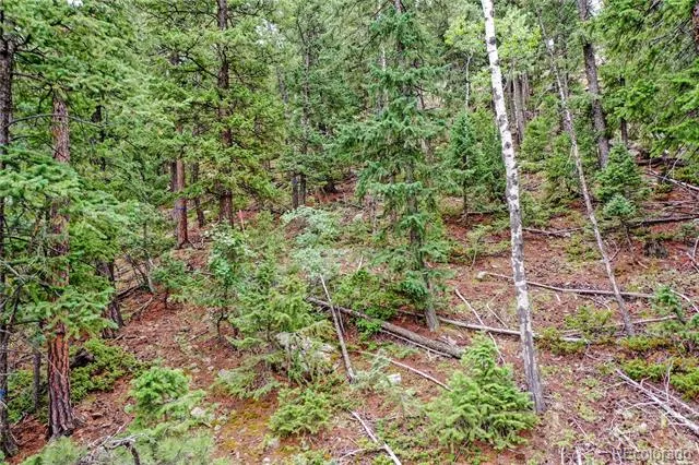 26367 Bell Park Drive Evergreen, CO 80439