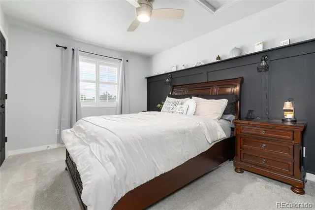 3709 Salida Court Evans, CO 80620