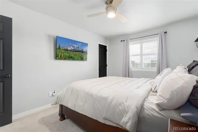 3709 Salida Court Evans, CO 80620