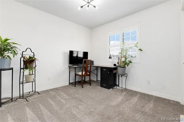 3709 Salida Court Evans, CO 80620