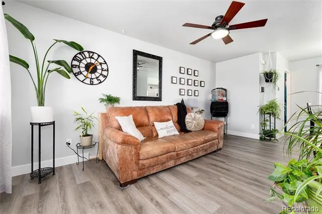 3709 Salida Court Evans, CO 80620