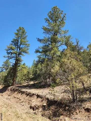 1314 Arnold Drive Cotopaxi, CO 81223