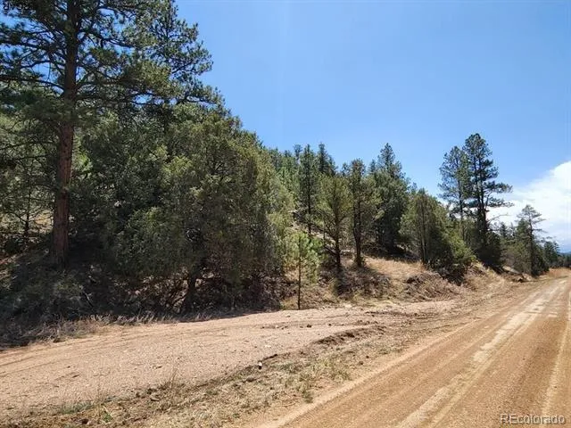 1314 Arnold Drive Cotopaxi, CO 81223