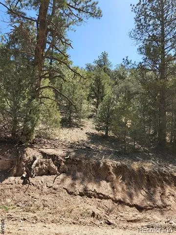 1314 Arnold Drive Cotopaxi, CO 81223