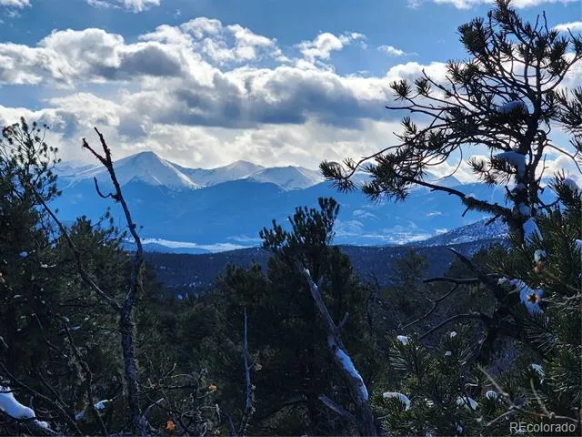 1314 Arnold Drive Cotopaxi, CO 81223