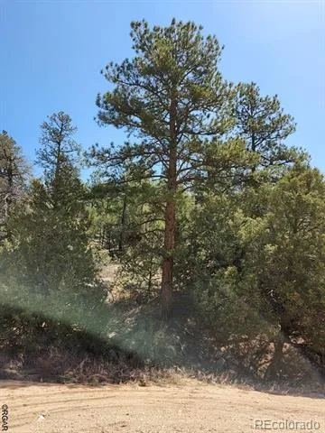 1314 Arnold Drive Cotopaxi, CO 81223