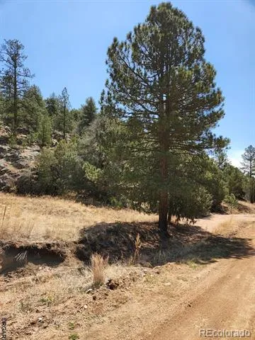 1314 Arnold Drive Cotopaxi, CO 81223