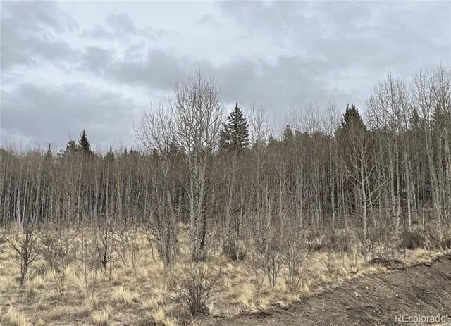 688 Ouray Trail Como, CO 80432