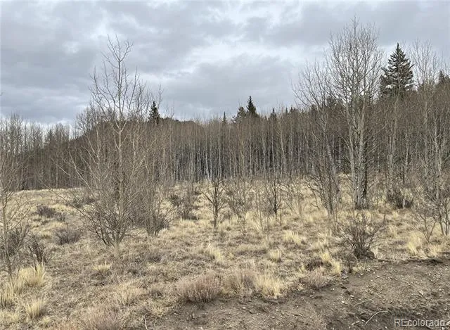 688 Ouray Trail Como, CO 80432