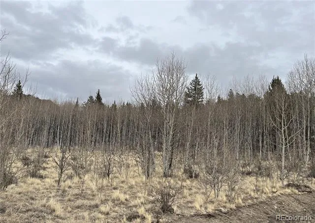 688 Ouray Trail Como, CO 80432