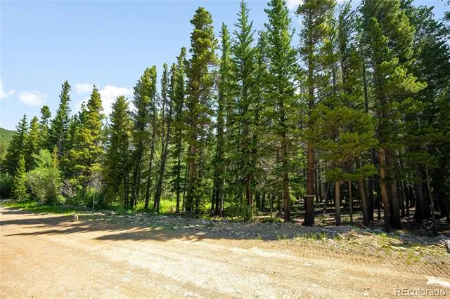 112 Deer Road Idaho Springs, CO 80452