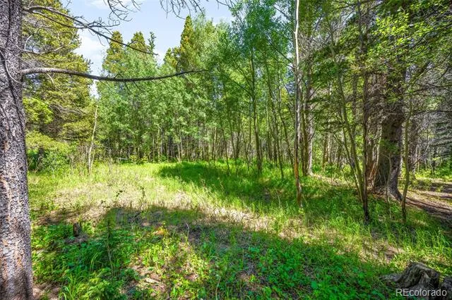 112 Deer Road Idaho Springs, CO 80452