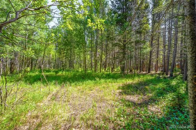 112 Deer Road Idaho Springs, CO 80452