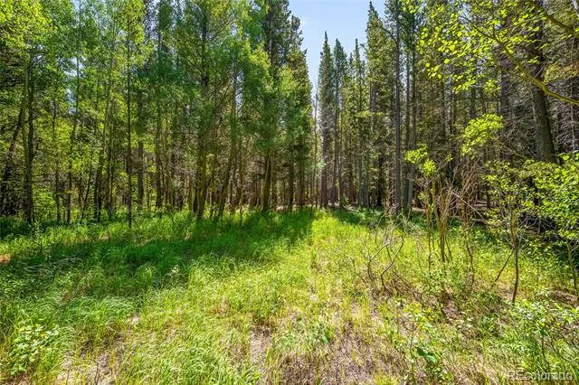 112 Deer Road Idaho Springs, CO 80452