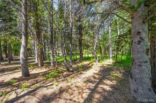 112 Deer Road Idaho Springs, CO 80452
