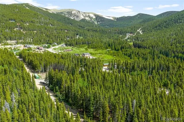 112 Deer Road Idaho Springs, CO 80452