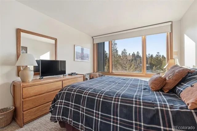 Address Not Shown Keystone, CO 80435