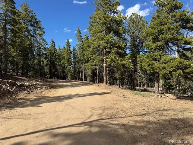 005 Pewabic Mine Road Central City, CO 80427