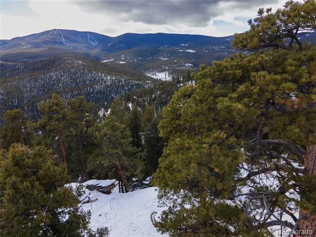 32613 Lodgepole Circle Evergreen, CO 80439