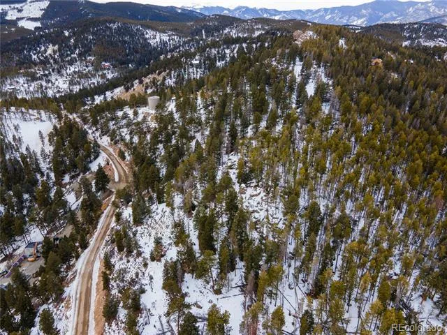32613 Lodgepole Circle Evergreen, CO 80439