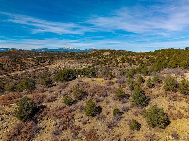 12222 Elk Run Road Trinidad, CO 81082