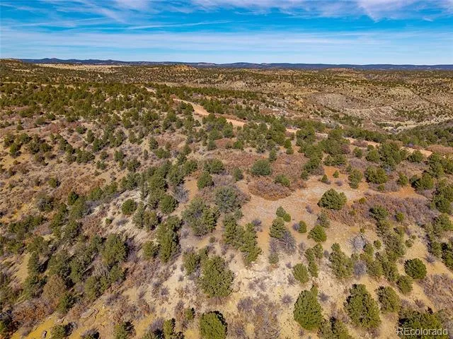 12222 Elk Run Road Trinidad, CO 81082