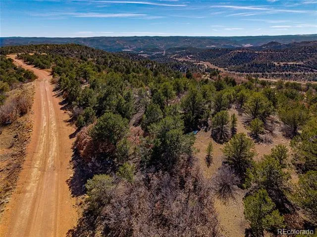 12222 Elk Run Road Trinidad, CO 81082