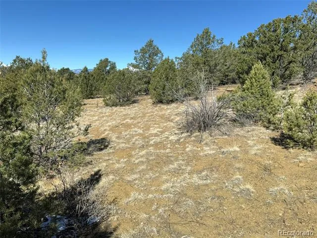 12222 Elk Run Road Trinidad, CO 81082