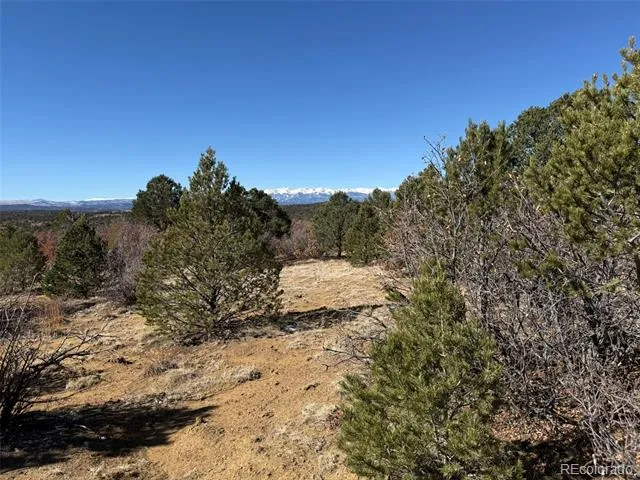 12222 Elk Run Road Trinidad, CO 81082