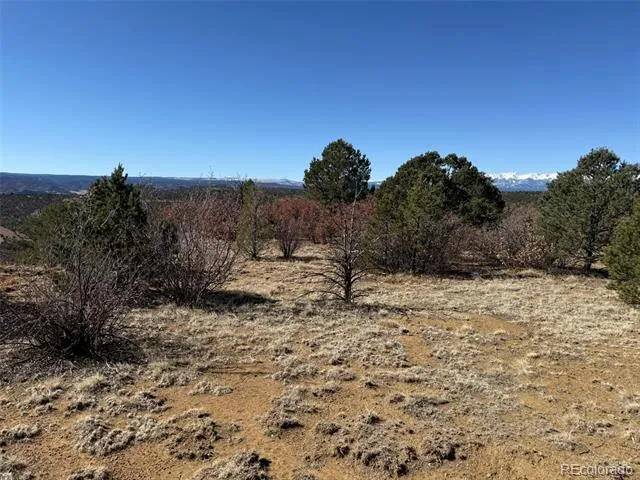 12222 Elk Run Road Trinidad, CO 81082