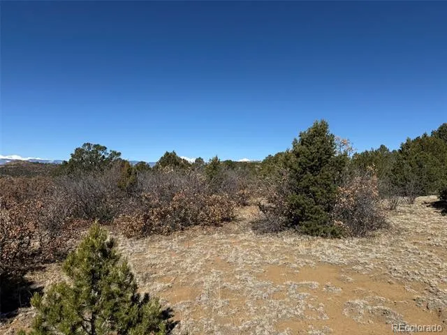12222 Elk Run Road Trinidad, CO 81082