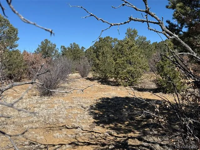 12222 Elk Run Road Trinidad, CO 81082