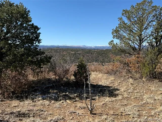 12222 Elk Run Road Trinidad, CO 81082
