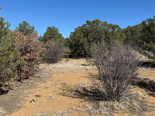 12222 Elk Run Road Trinidad, CO 81082