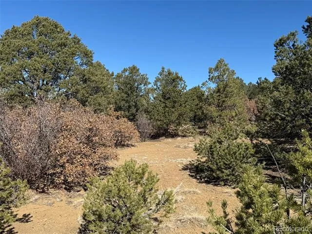 12222 Elk Run Road Trinidad, CO 81082
